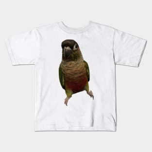 Green Cheek Conure Parrot Bird design, Love for birds Kids T-Shirt